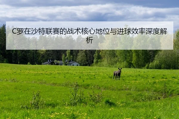 luo-zai-sha-te-lian-sai-de-zhan-shu-he-xin-di-wei-yu-jin-qiu-xiao-lv-shen-du-jie-xi-2-512.jpg